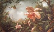 Martin Johnson Heade, The Hummingbirds and Two Varieties of Orchids